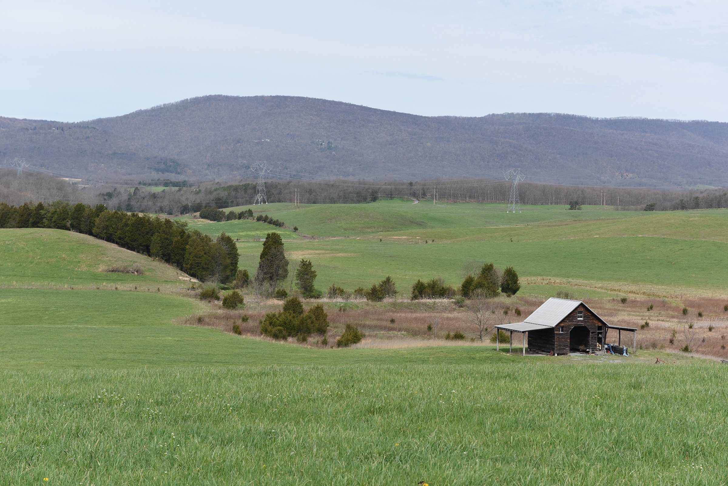 Property photo 56 - LAND AUCTION - 533+/- ACRES OFFERED IN 5 TRACTS IN HARDY COUNTY, WEST VIRGINIA