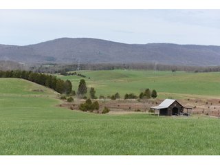 Property photo 56 - LAND AUCTION - 533+/- ACRES OFFERED IN 5 TRACTS IN HARDY COUNTY, WEST VIRGINIA