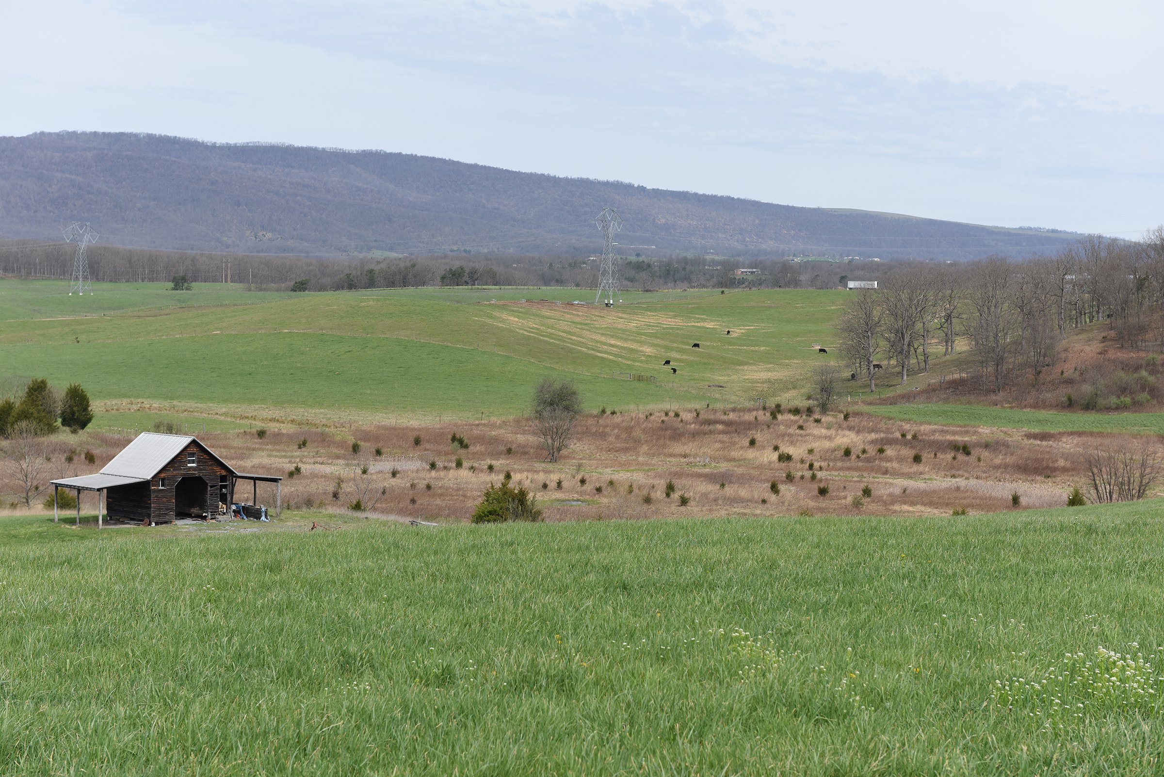 Property photo 47 - LAND AUCTION - 533+/- ACRES OFFERED IN 5 TRACTS IN HARDY COUNTY, WEST VIRGINIA