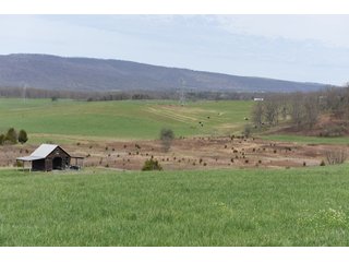 Property photo 47 - LAND AUCTION - 533+/- ACRES OFFERED IN 5 TRACTS IN HARDY COUNTY, WEST VIRGINIA