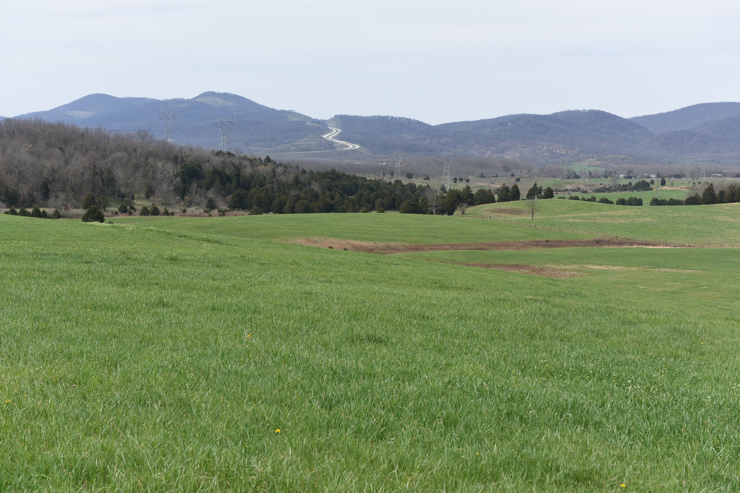 Property photo 51 - LAND AUCTION - 533+/- ACRES OFFERED IN 5 TRACTS IN HARDY COUNTY, WEST VIRGINIA
