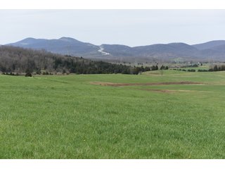 Property photo 51 - LAND AUCTION - 533+/- ACRES OFFERED IN 5 TRACTS IN HARDY COUNTY, WEST VIRGINIA
