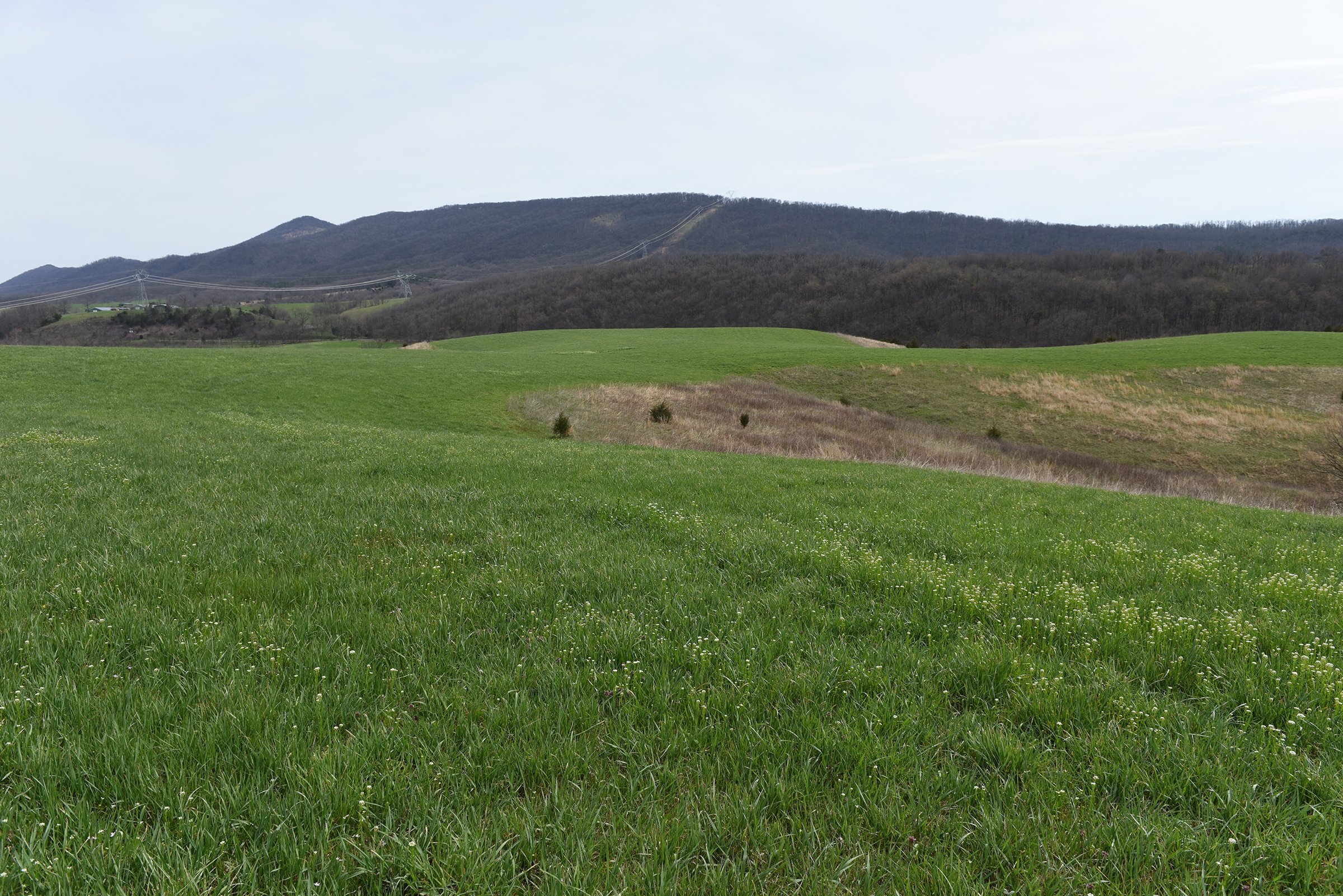 Property photo 73 - LAND AUCTION - 533+/- ACRES OFFERED IN 5 TRACTS IN HARDY COUNTY, WEST VIRGINIA