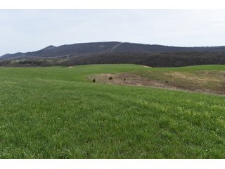 Property photo 73 - LAND AUCTION - 533+/- ACRES OFFERED IN 5 TRACTS IN HARDY COUNTY, WEST VIRGINIA