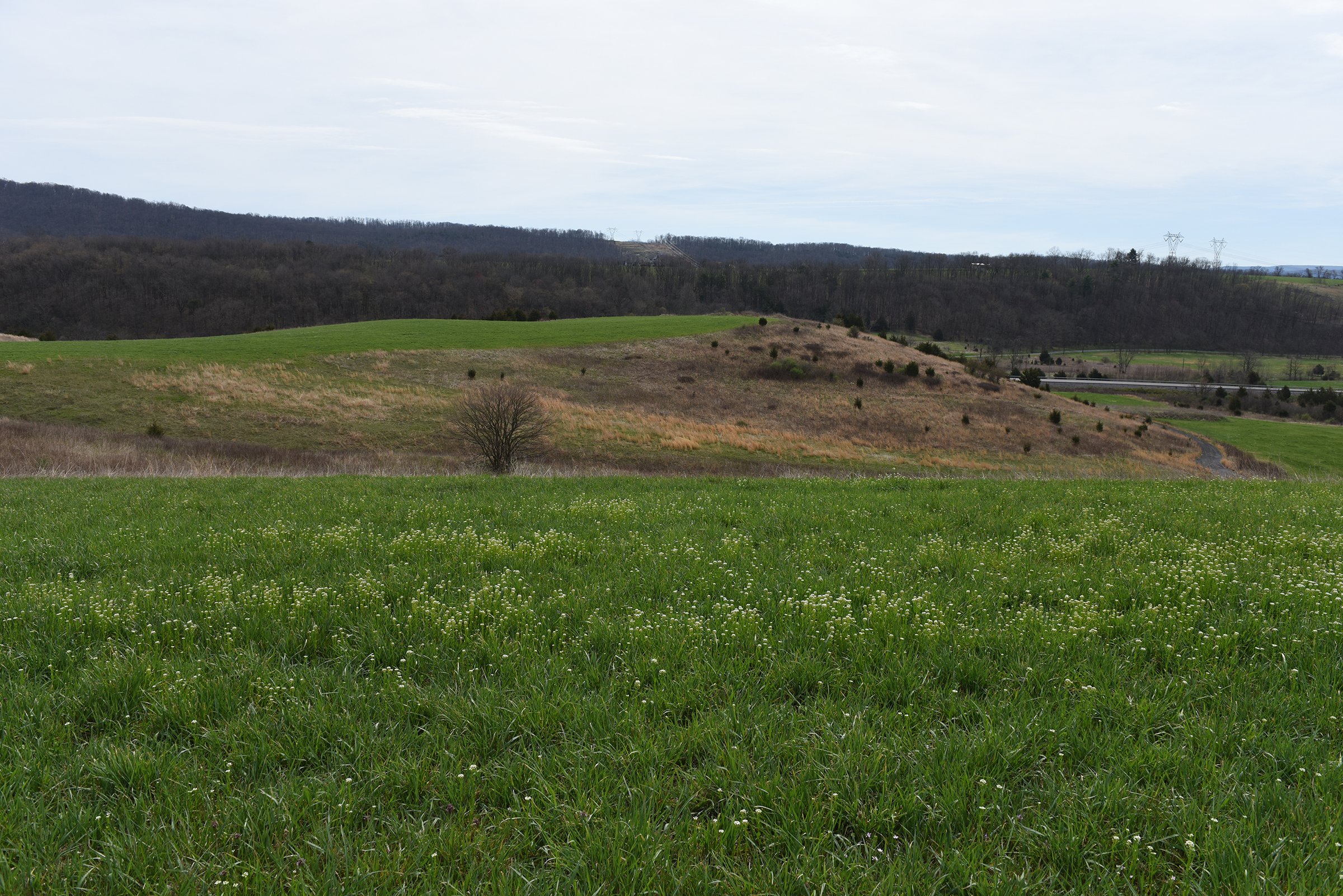 Property photo 60 - LAND AUCTION - 533+/- ACRES OFFERED IN 5 TRACTS IN HARDY COUNTY, WEST VIRGINIA
