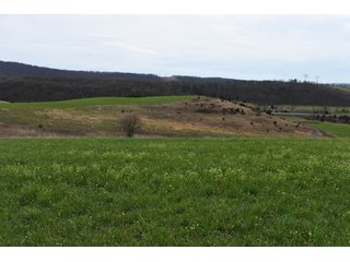 Property photo 60 - LAND AUCTION - 533+/- ACRES OFFERED IN 5 TRACTS IN HARDY COUNTY, WEST VIRGINIA