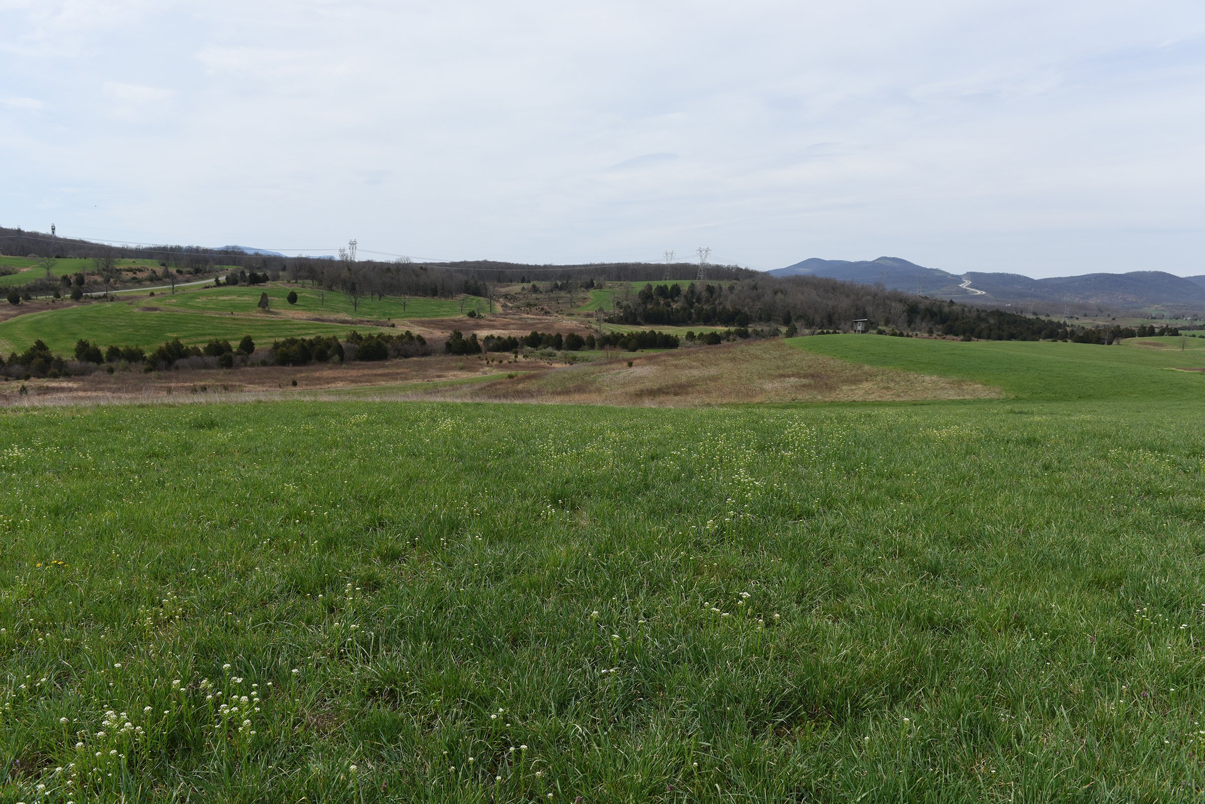 Property photo 63 - LAND AUCTION - 533+/- ACRES OFFERED IN 5 TRACTS IN HARDY COUNTY, WEST VIRGINIA