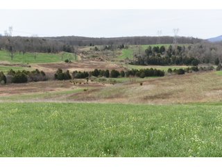 Property photo 59 - LAND AUCTION - 533+/- ACRES OFFERED IN 5 TRACTS IN HARDY COUNTY, WEST VIRGINIA