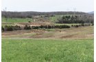 Property photo 59 - LAND AUCTION - 533+/- ACRES OFFERED IN 5 TRACTS IN HARDY COUNTY, WEST VIRGINIA