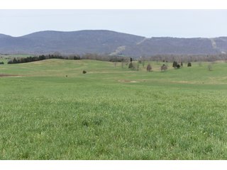 Property photo 65 - LAND AUCTION - 533+/- ACRES OFFERED IN 5 TRACTS IN HARDY COUNTY, WEST VIRGINIA