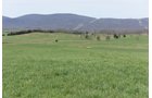 Property photo 65 - LAND AUCTION - 533+/- ACRES OFFERED IN 5 TRACTS IN HARDY COUNTY, WEST VIRGINIA