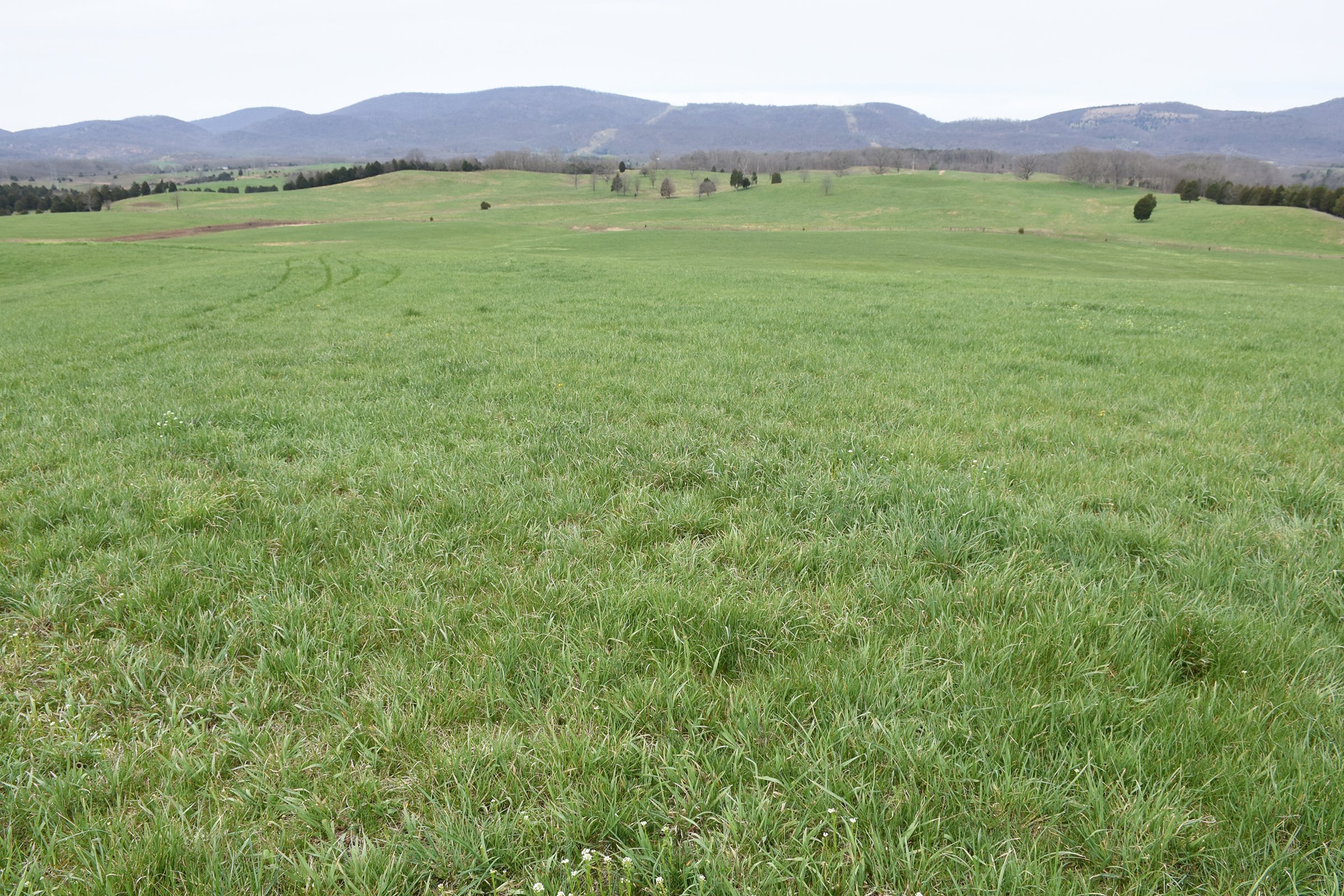Property photo 66 - LAND AUCTION - 533+/- ACRES OFFERED IN 5 TRACTS IN HARDY COUNTY, WEST VIRGINIA