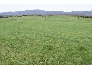 Property photo 66 - LAND AUCTION - 533+/- ACRES OFFERED IN 5 TRACTS IN HARDY COUNTY, WEST VIRGINIA