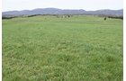 Property photo 66 - LAND AUCTION - 533+/- ACRES OFFERED IN 5 TRACTS IN HARDY COUNTY, WEST VIRGINIA