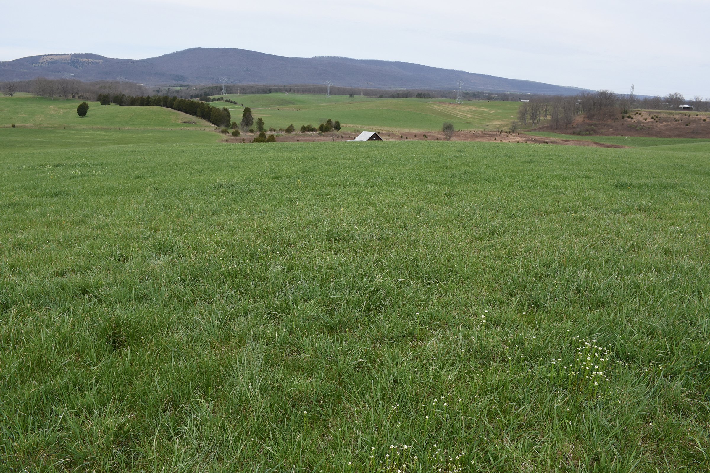 Property photo 49 - LAND AUCTION - 533+/- ACRES OFFERED IN 5 TRACTS IN HARDY COUNTY, WEST VIRGINIA