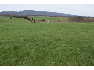 Property photo 49 - LAND AUCTION - 533+/- ACRES OFFERED IN 5 TRACTS IN HARDY COUNTY, WEST VIRGINIA