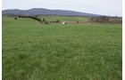 Property photo 49 - LAND AUCTION - 533+/- ACRES OFFERED IN 5 TRACTS IN HARDY COUNTY, WEST VIRGINIA
