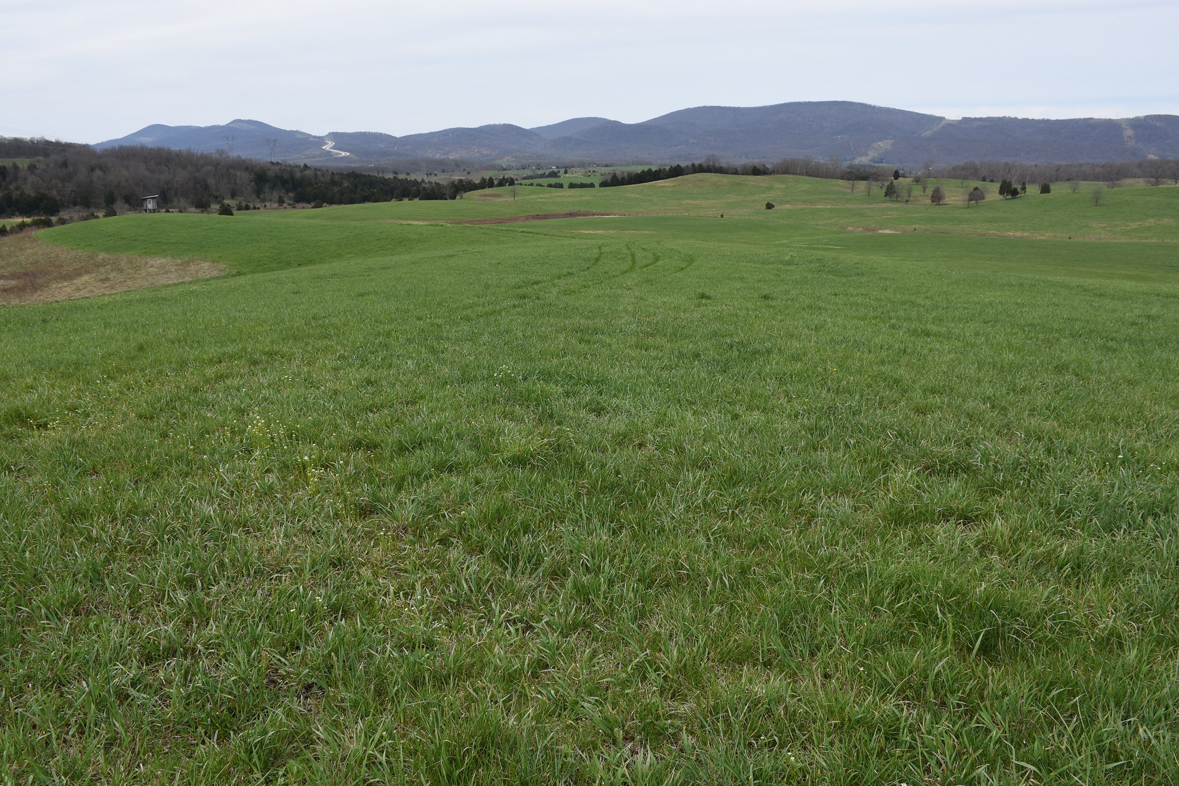Property photo 50 - LAND AUCTION - 533+/- ACRES OFFERED IN 5 TRACTS IN HARDY COUNTY, WEST VIRGINIA