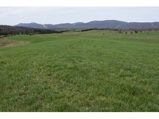 Property photo 50 - LAND AUCTION - 533+/- ACRES OFFERED IN 5 TRACTS IN HARDY COUNTY, WEST VIRGINIA