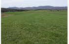 Property photo 50 - LAND AUCTION - 533+/- ACRES OFFERED IN 5 TRACTS IN HARDY COUNTY, WEST VIRGINIA