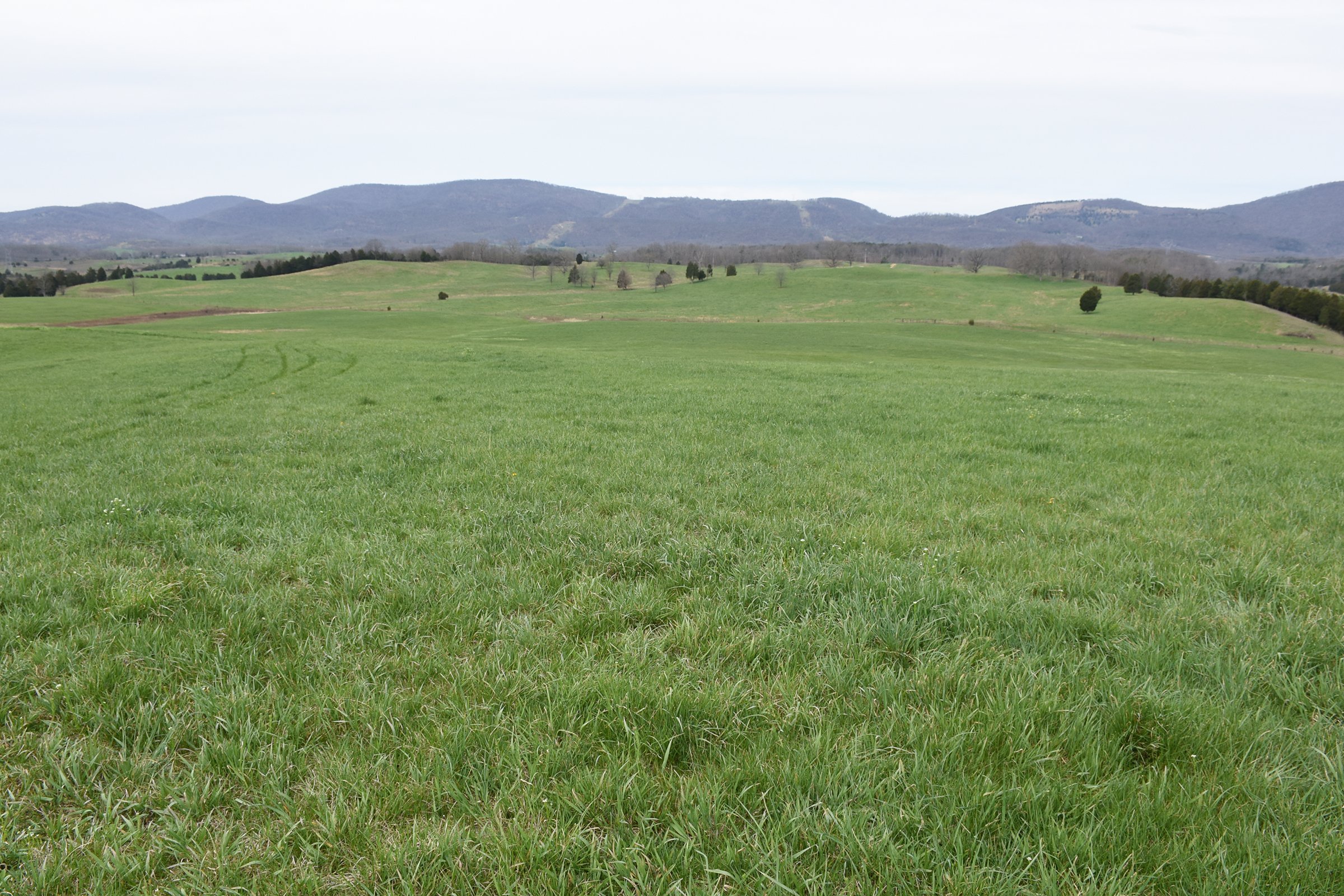 Property photo 71 - LAND AUCTION - 533+/- ACRES OFFERED IN 5 TRACTS IN HARDY COUNTY, WEST VIRGINIA
