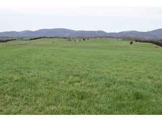 Property photo 71 - LAND AUCTION - 533+/- ACRES OFFERED IN 5 TRACTS IN HARDY COUNTY, WEST VIRGINIA