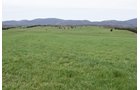 Property photo 71 - LAND AUCTION - 533+/- ACRES OFFERED IN 5 TRACTS IN HARDY COUNTY, WEST VIRGINIA
