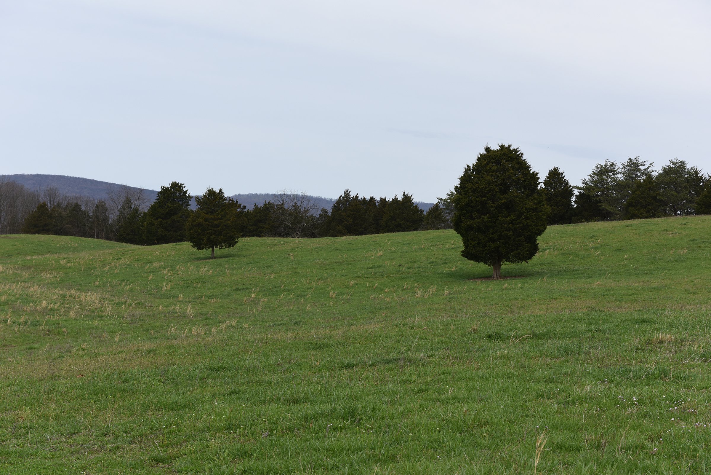 Property photo 45 - LAND AUCTION - 533+/- ACRES OFFERED IN 5 TRACTS IN HARDY COUNTY, WEST VIRGINIA