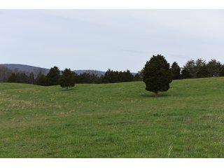 Property photo 45 - LAND AUCTION - 533+/- ACRES OFFERED IN 5 TRACTS IN HARDY COUNTY, WEST VIRGINIA