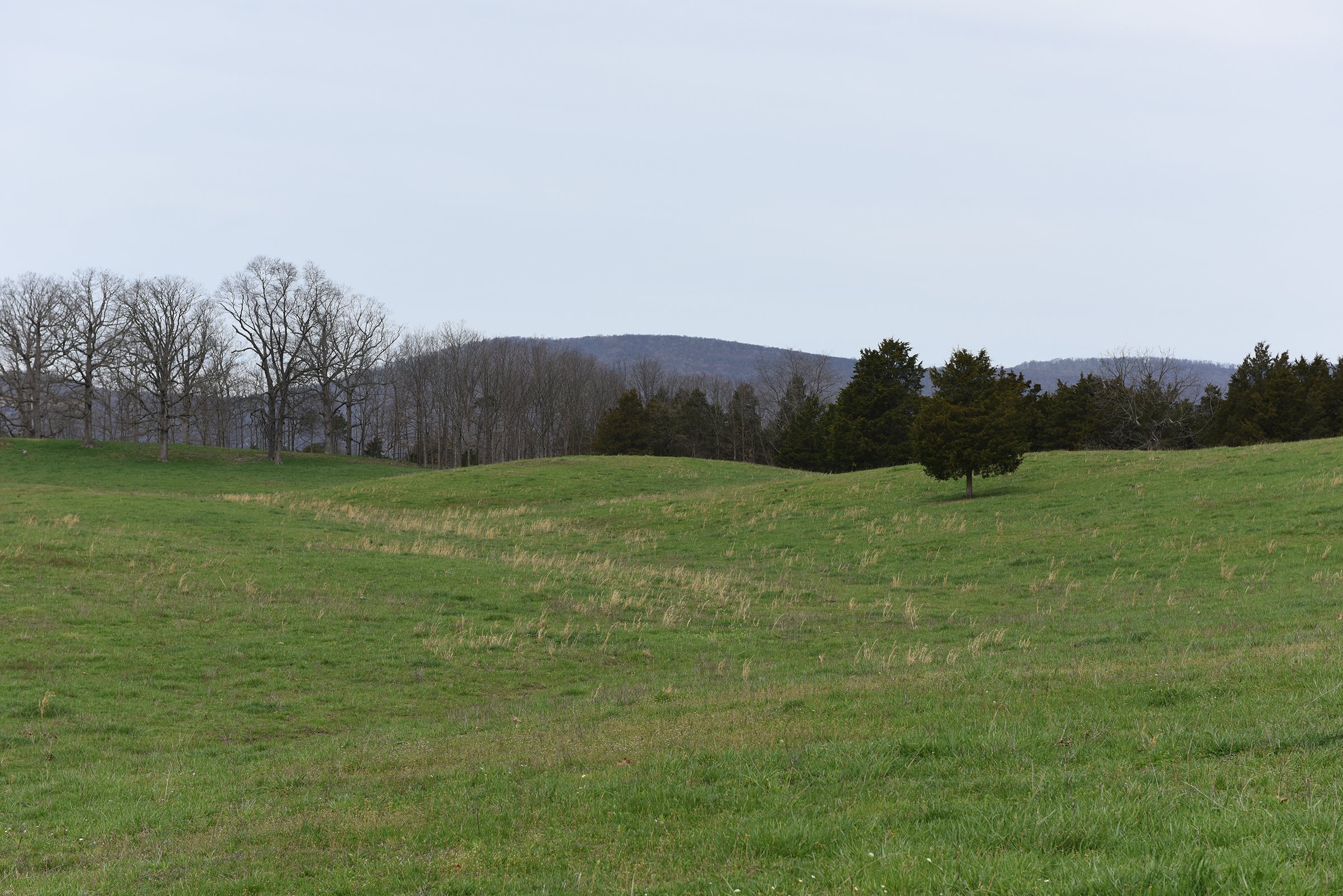Property photo 68 - LAND AUCTION - 533+/- ACRES OFFERED IN 5 TRACTS IN HARDY COUNTY, WEST VIRGINIA