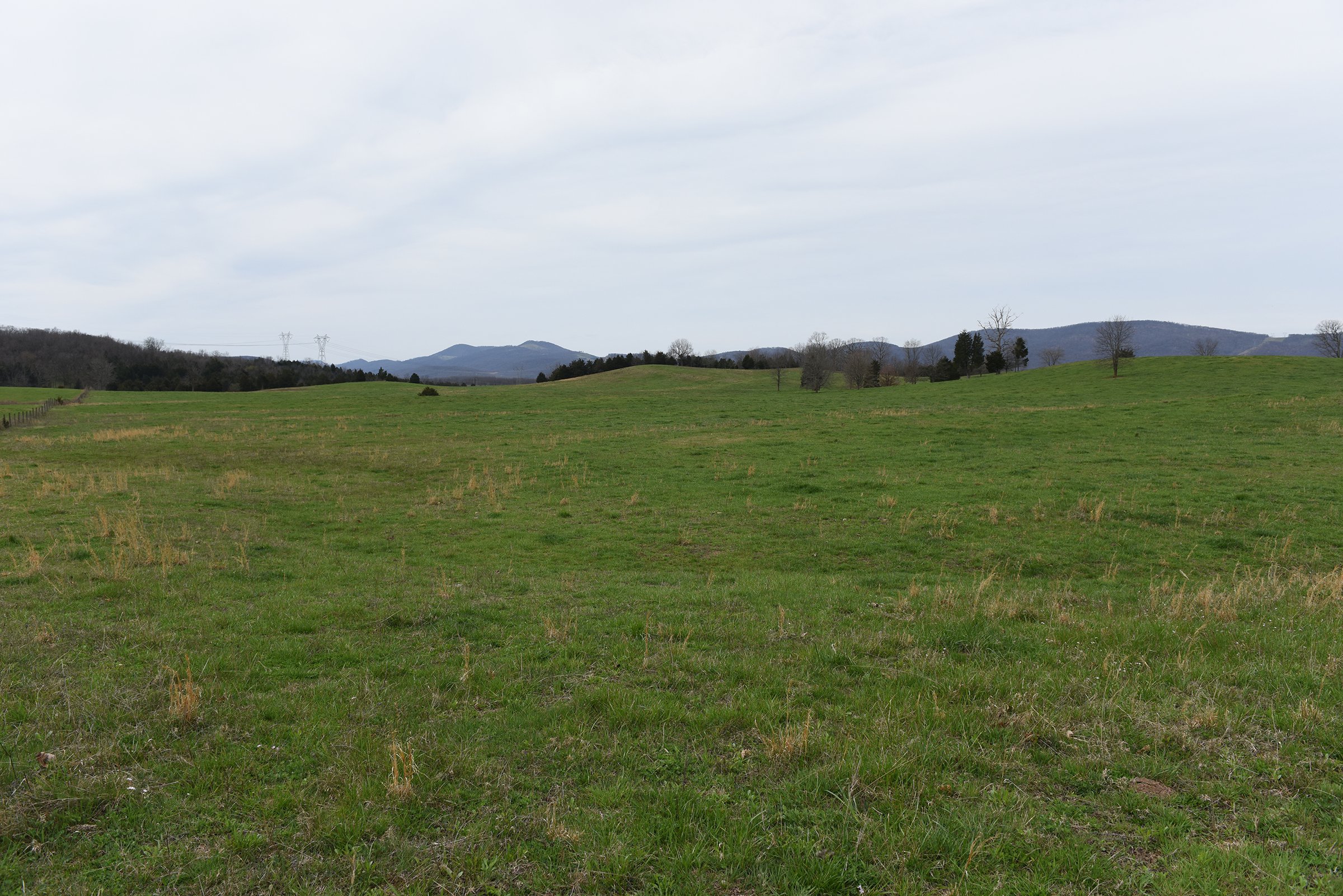 Property photo 53 - LAND AUCTION - 533+/- ACRES OFFERED IN 5 TRACTS IN HARDY COUNTY, WEST VIRGINIA