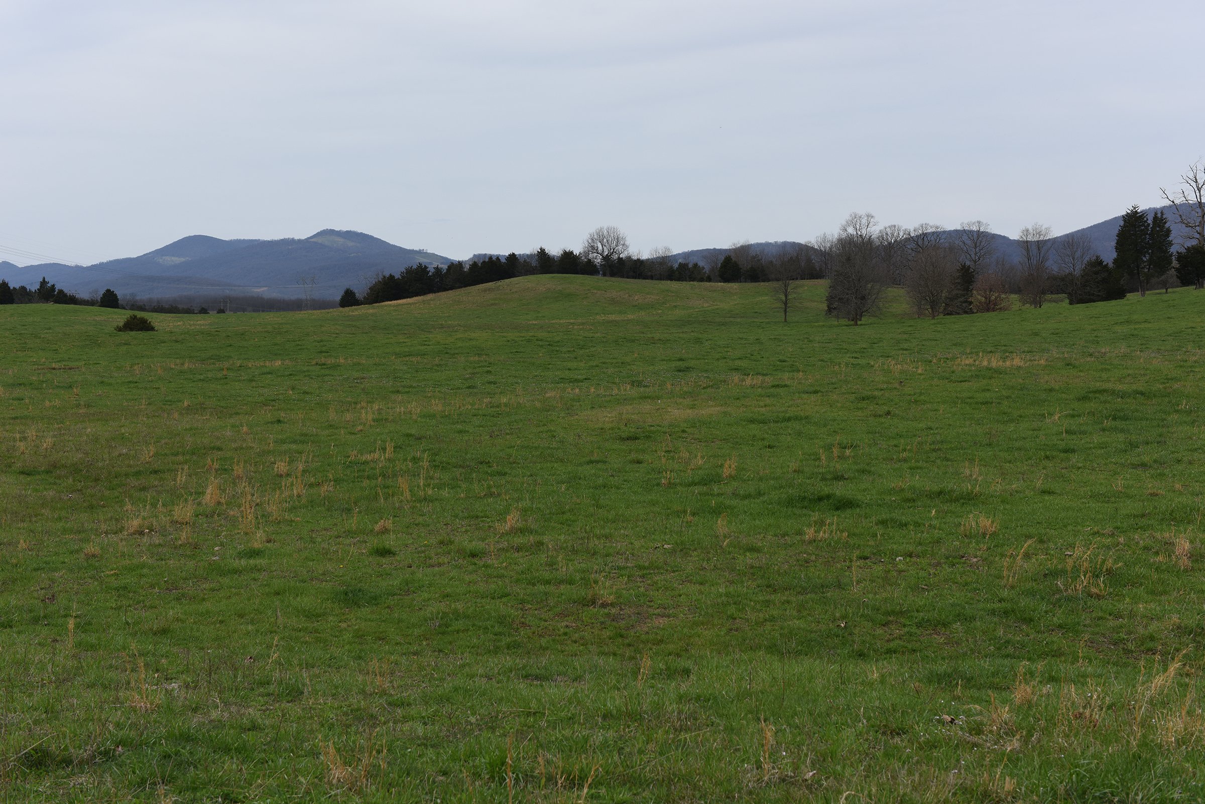 Property photo 46 - LAND AUCTION - 533+/- ACRES OFFERED IN 5 TRACTS IN HARDY COUNTY, WEST VIRGINIA
