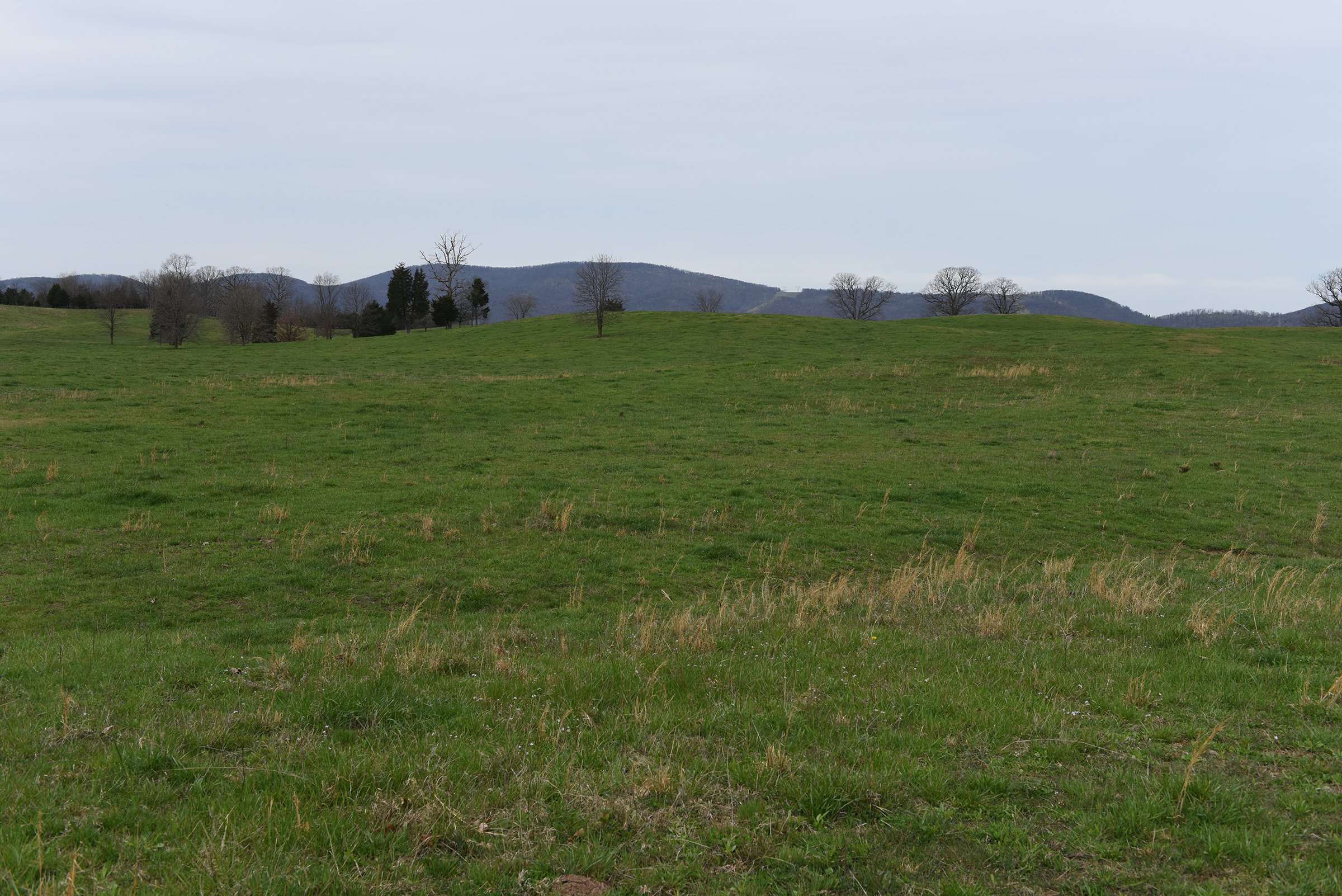 Property photo 40 - LAND AUCTION - 533+/- ACRES OFFERED IN 5 TRACTS IN HARDY COUNTY, WEST VIRGINIA