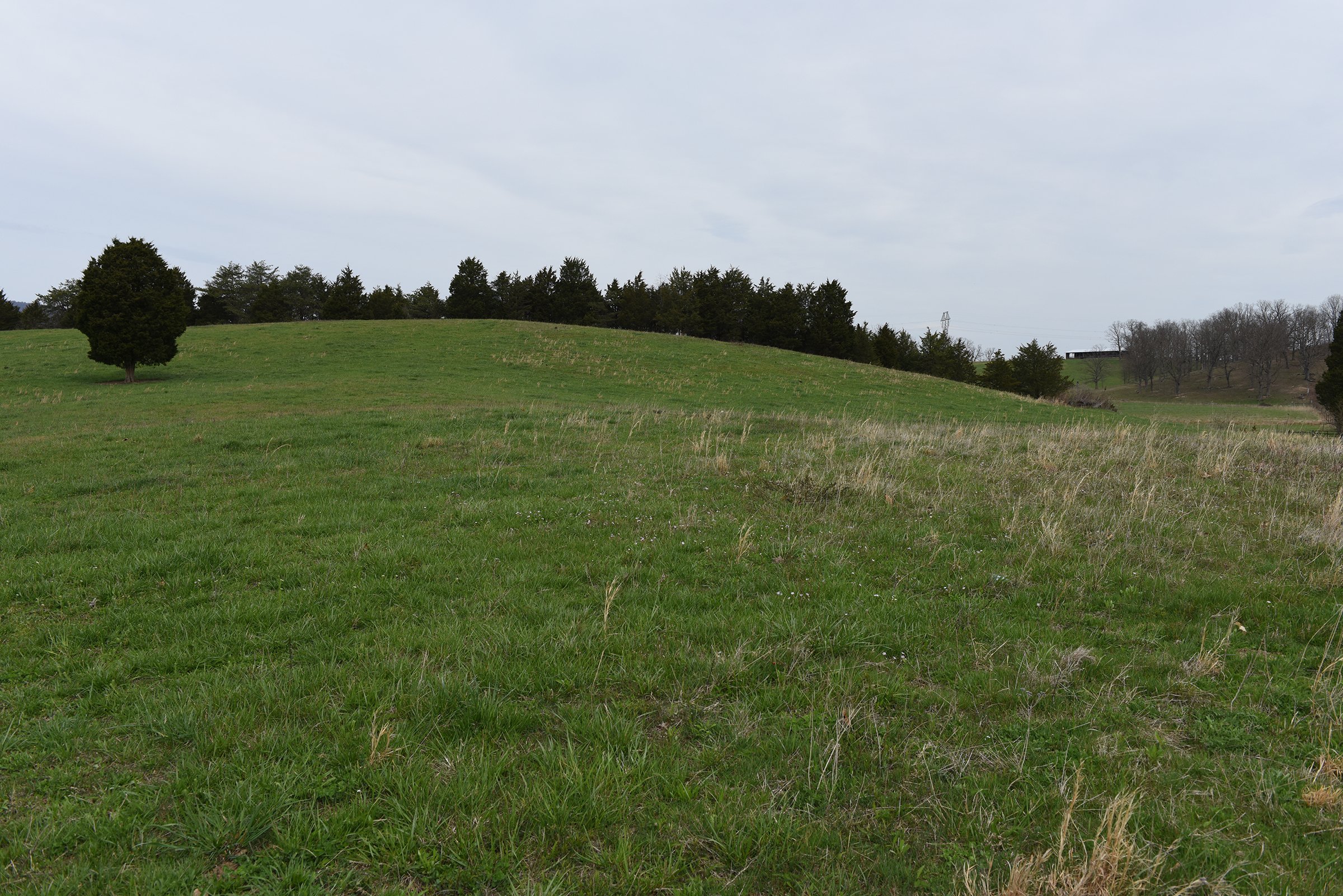 Property photo 41 - LAND AUCTION - 533+/- ACRES OFFERED IN 5 TRACTS IN HARDY COUNTY, WEST VIRGINIA