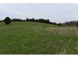 Property photo 41 - LAND AUCTION - 533+/- ACRES OFFERED IN 5 TRACTS IN HARDY COUNTY, WEST VIRGINIA