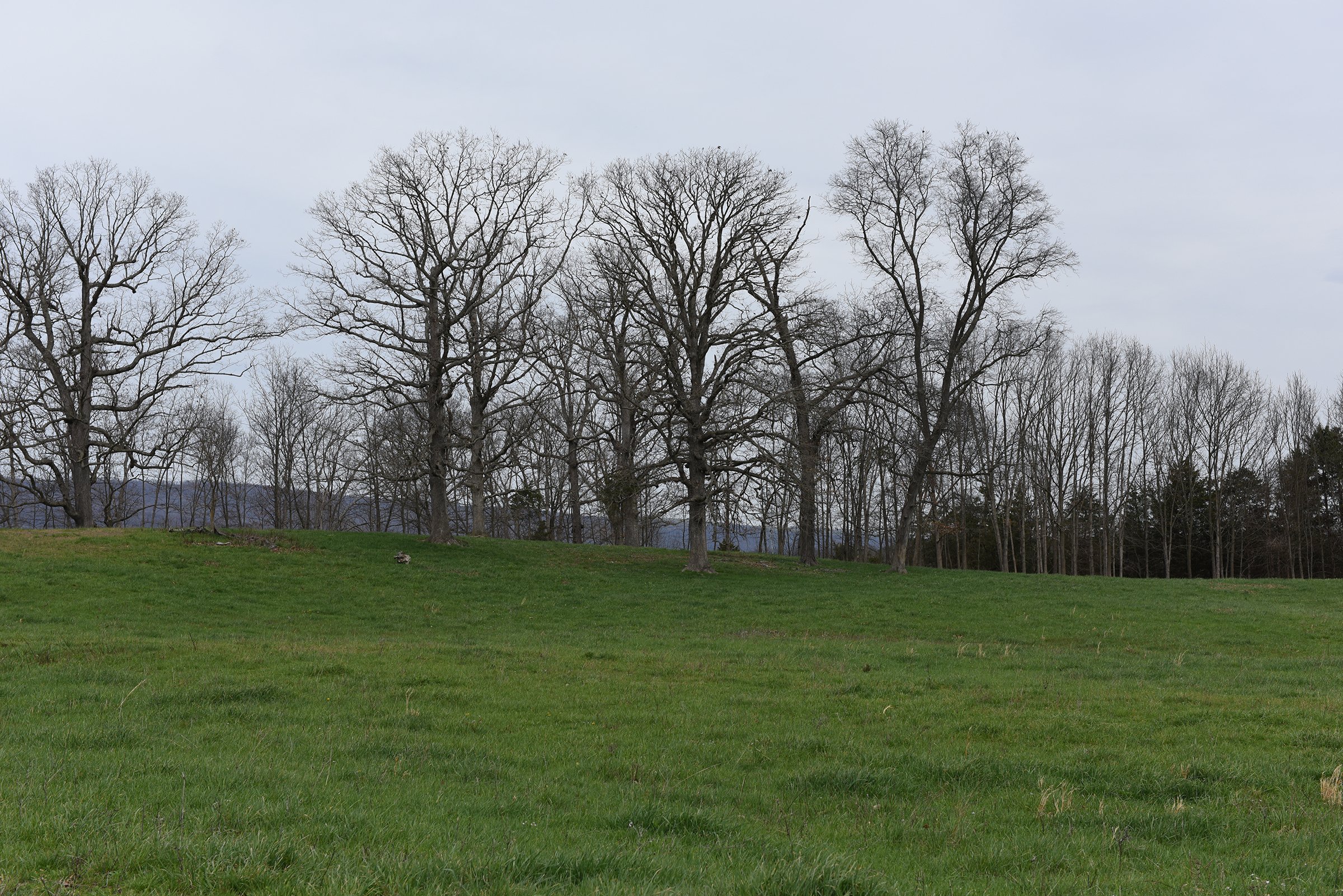 Property photo 35 - LAND AUCTION - 533+/- ACRES OFFERED IN 5 TRACTS IN HARDY COUNTY, WEST VIRGINIA
