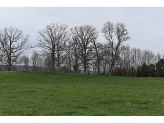 Property photo 35 - LAND AUCTION - 533+/- ACRES OFFERED IN 5 TRACTS IN HARDY COUNTY, WEST VIRGINIA