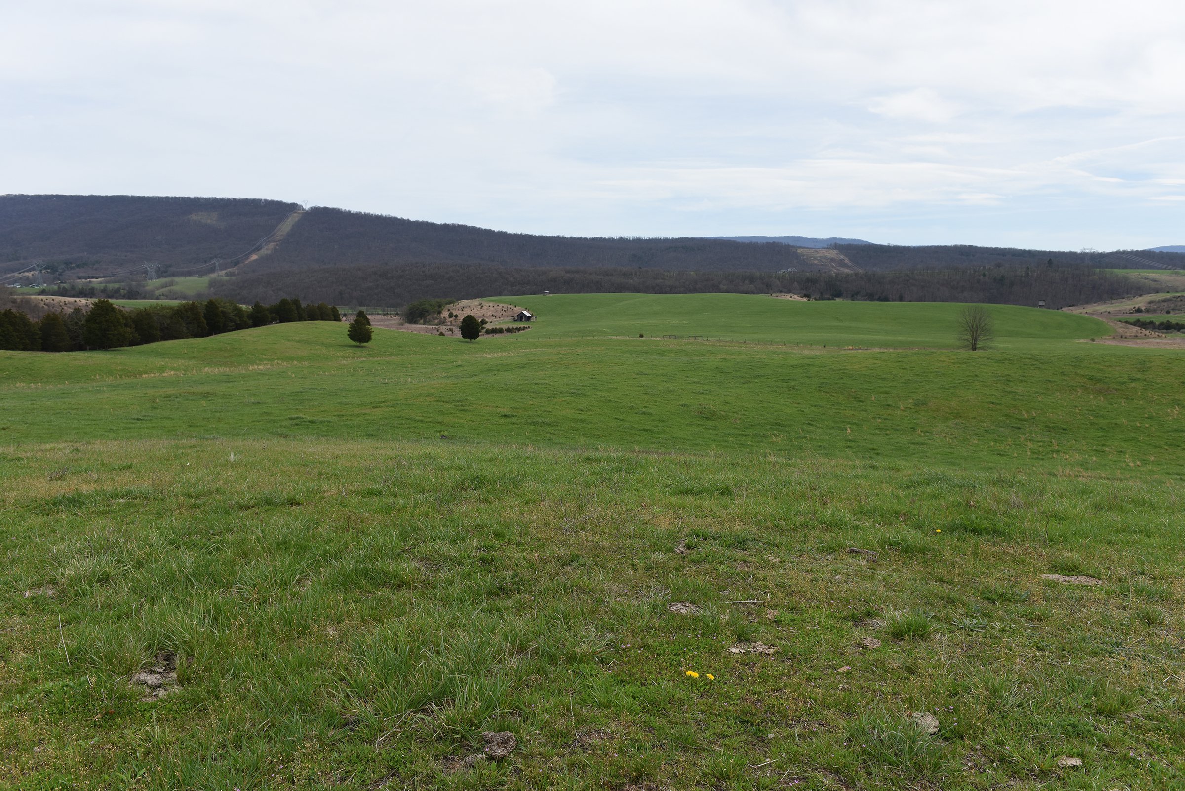 Property photo 36 - LAND AUCTION - 533+/- ACRES OFFERED IN 5 TRACTS IN HARDY COUNTY, WEST VIRGINIA