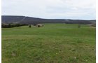 Property photo 36 - LAND AUCTION - 533+/- ACRES OFFERED IN 5 TRACTS IN HARDY COUNTY, WEST VIRGINIA