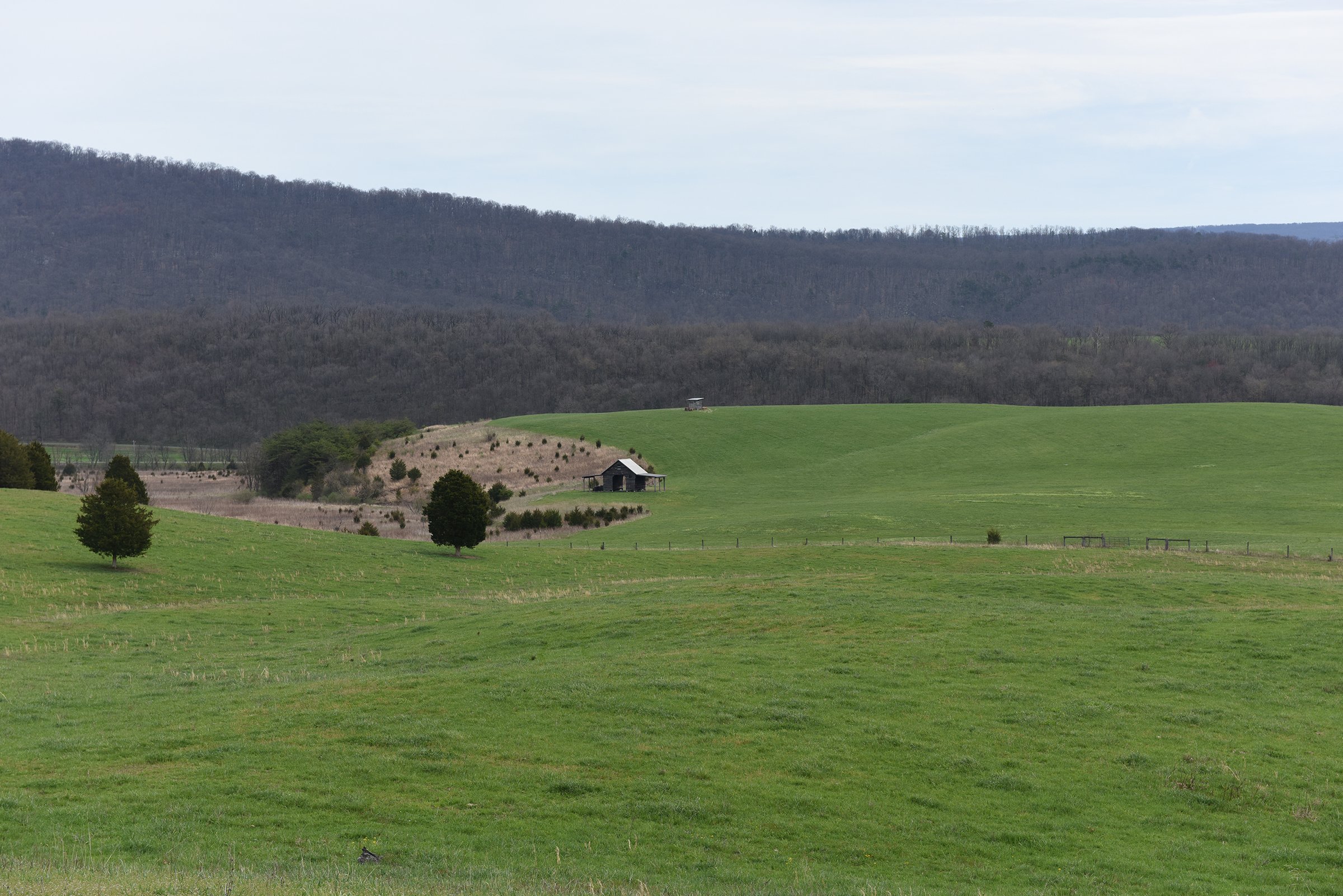 Property photo 33 - LAND AUCTION - 533+/- ACRES OFFERED IN 5 TRACTS IN HARDY COUNTY, WEST VIRGINIA