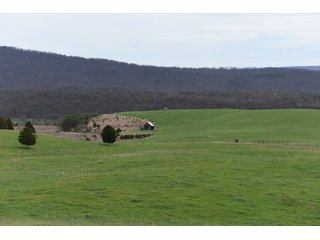Property photo 33 - LAND AUCTION - 533+/- ACRES OFFERED IN 5 TRACTS IN HARDY COUNTY, WEST VIRGINIA