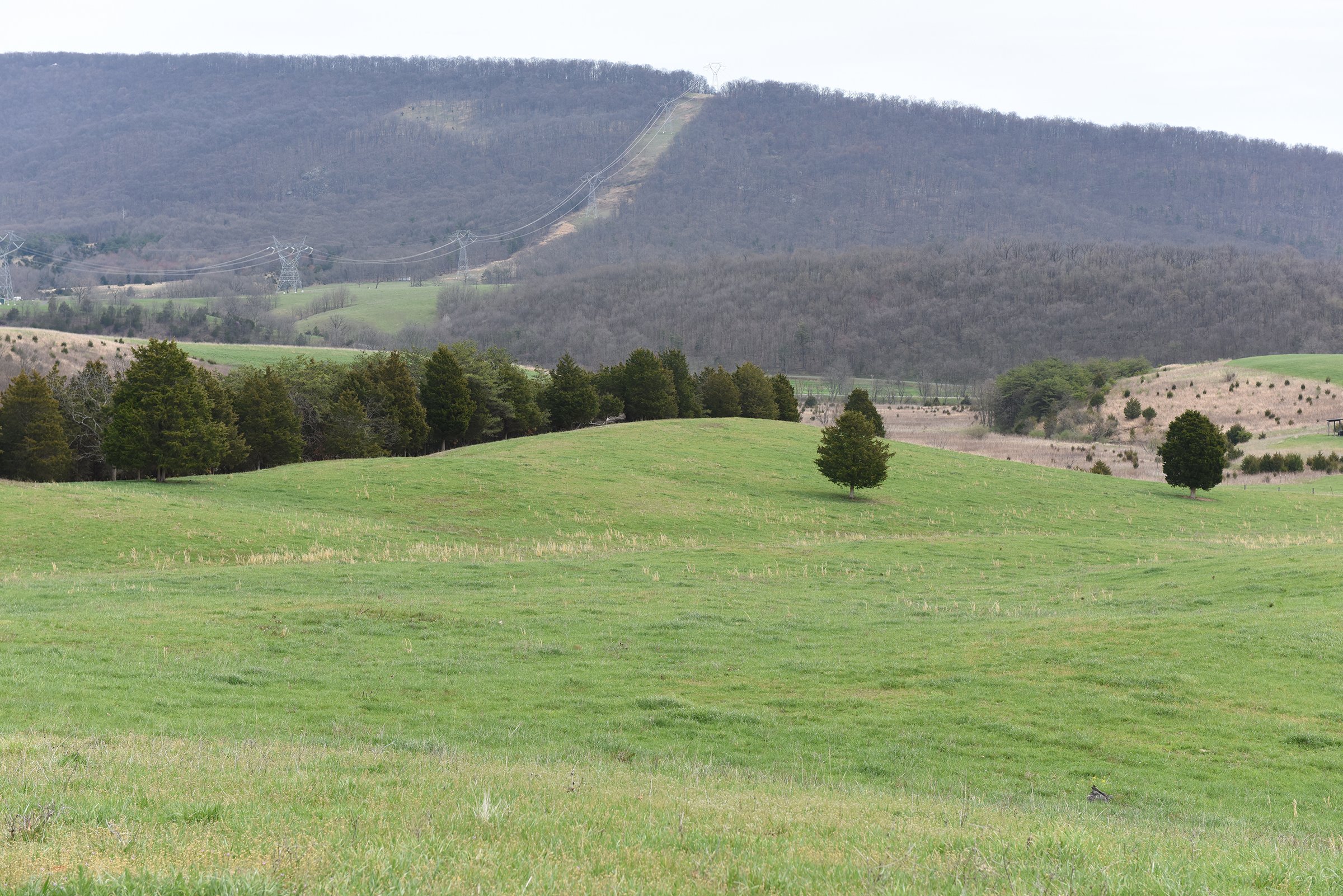 Property photo 1 - LAND AUCTION - 533+/- ACRES OFFERED IN 5 TRACTS IN HARDY COUNTY, WEST VIRGINIA