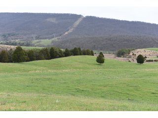 Property photo 1 - LAND AUCTION - 533+/- ACRES OFFERED IN 5 TRACTS IN HARDY COUNTY, WEST VIRGINIA