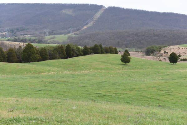 LAND AUCTION - 533+/- ACRES OFFERED IN 5 TRACTS IN HARDY COUNTY, WEST VIRGINIA