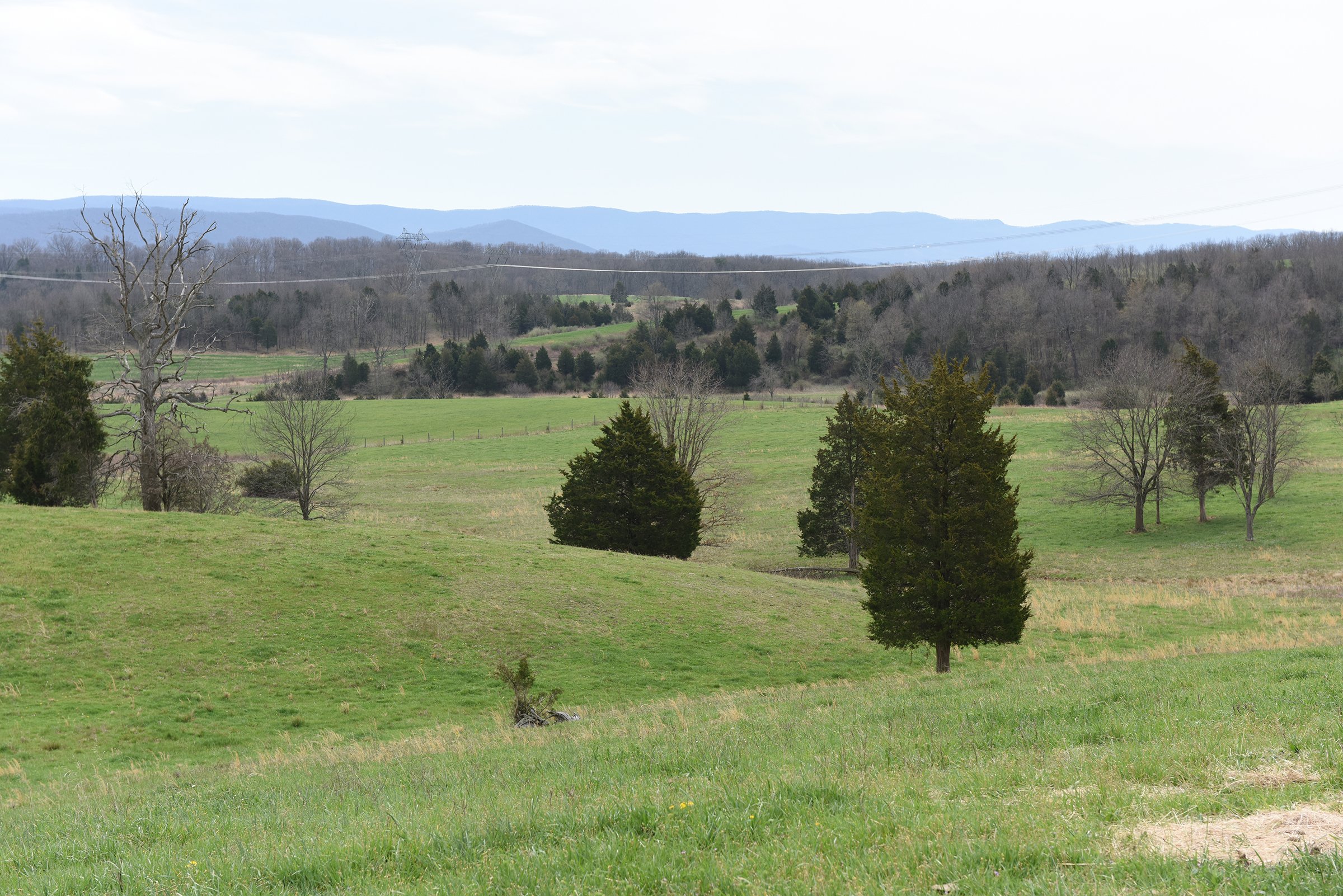Property photo 38 - LAND AUCTION - 533+/- ACRES OFFERED IN 5 TRACTS IN HARDY COUNTY, WEST VIRGINIA