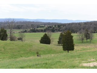 Property photo 38 - LAND AUCTION - 533+/- ACRES OFFERED IN 5 TRACTS IN HARDY COUNTY, WEST VIRGINIA