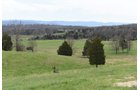 Property photo 38 - LAND AUCTION - 533+/- ACRES OFFERED IN 5 TRACTS IN HARDY COUNTY, WEST VIRGINIA
