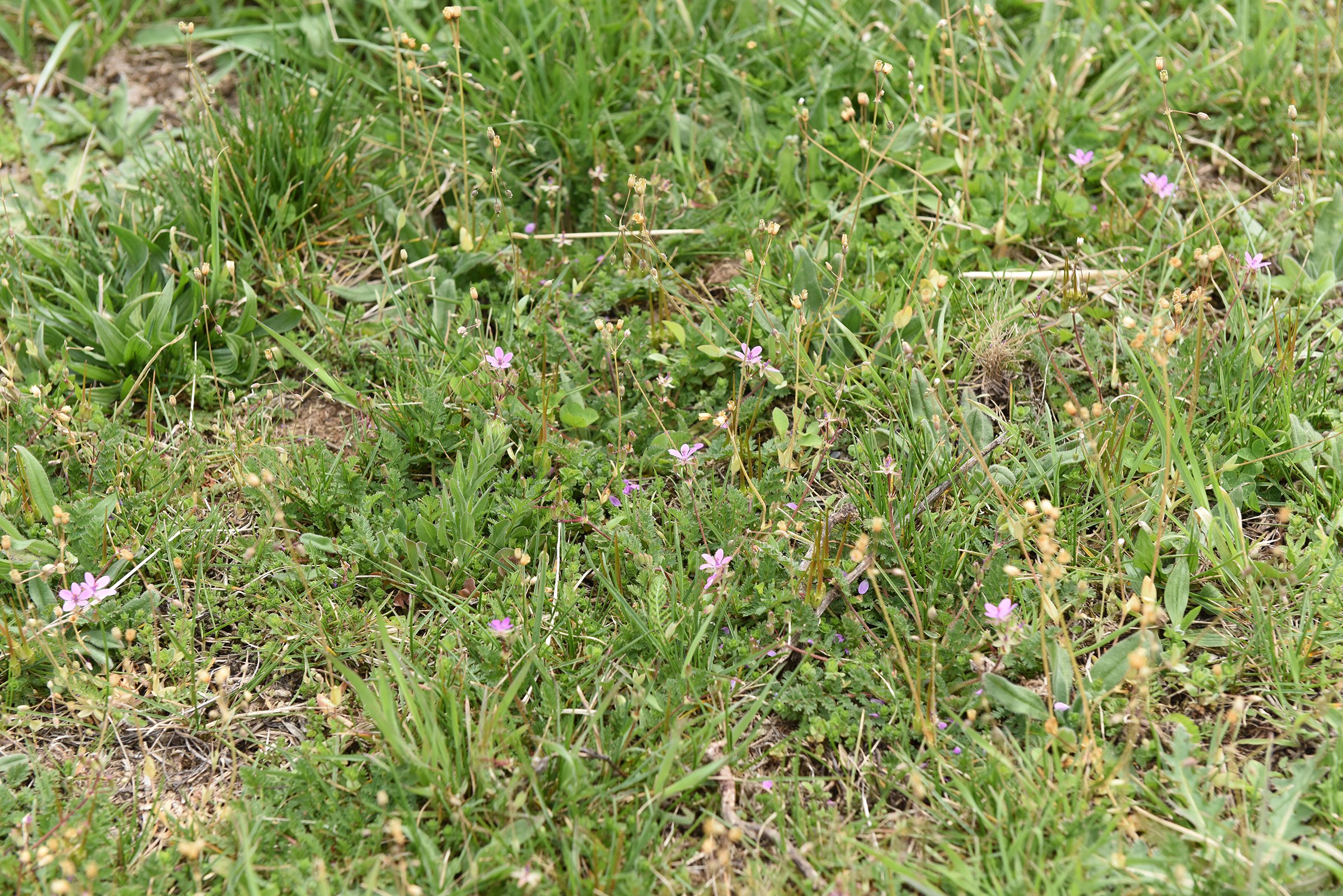 Property photo 39 - LAND AUCTION - 533+/- ACRES OFFERED IN 5 TRACTS IN HARDY COUNTY, WEST VIRGINIA