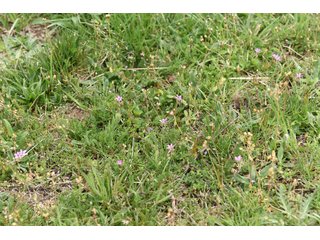 Property photo 39 - LAND AUCTION - 533+/- ACRES OFFERED IN 5 TRACTS IN HARDY COUNTY, WEST VIRGINIA