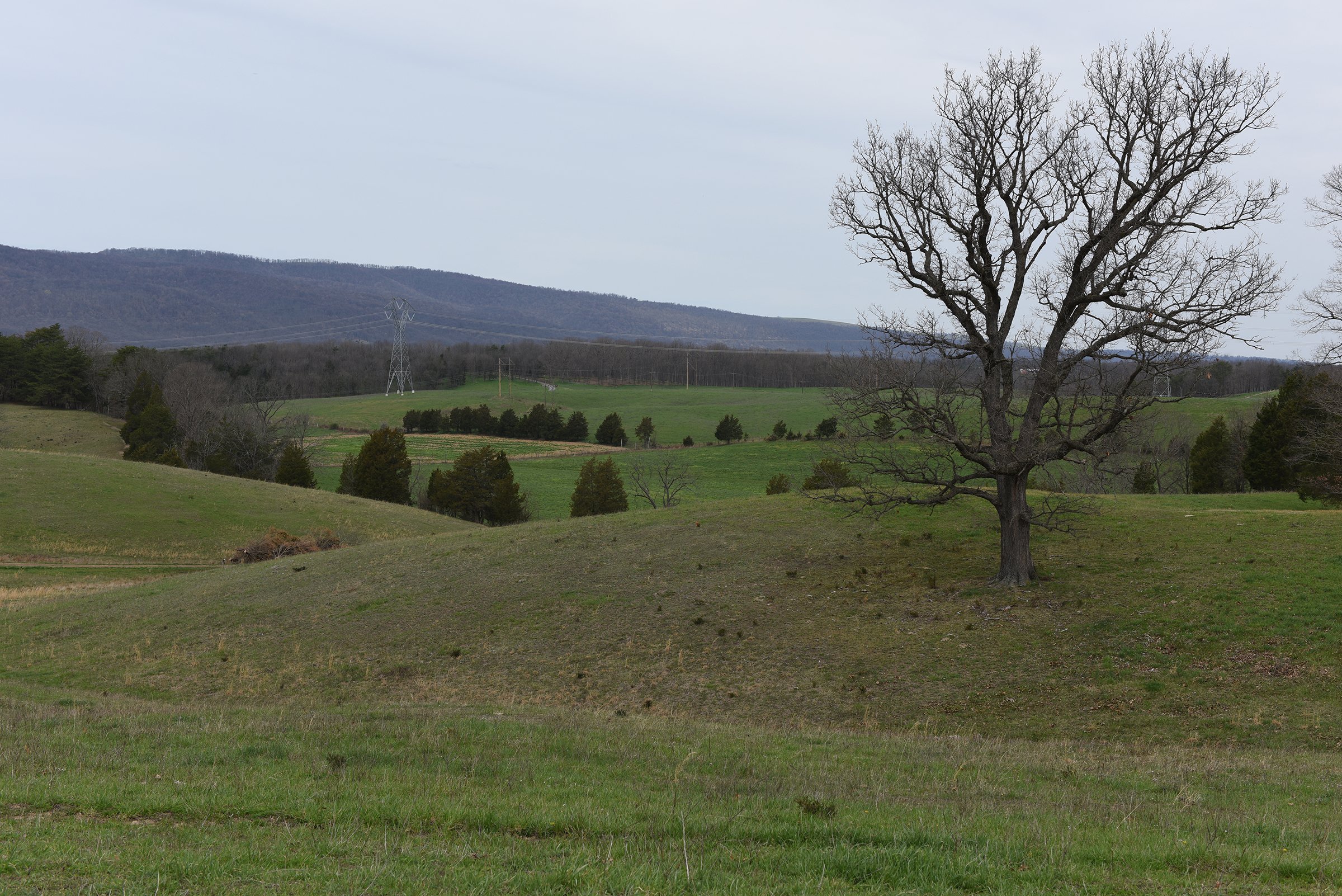 Property photo 37 - LAND AUCTION - 533+/- ACRES OFFERED IN 5 TRACTS IN HARDY COUNTY, WEST VIRGINIA